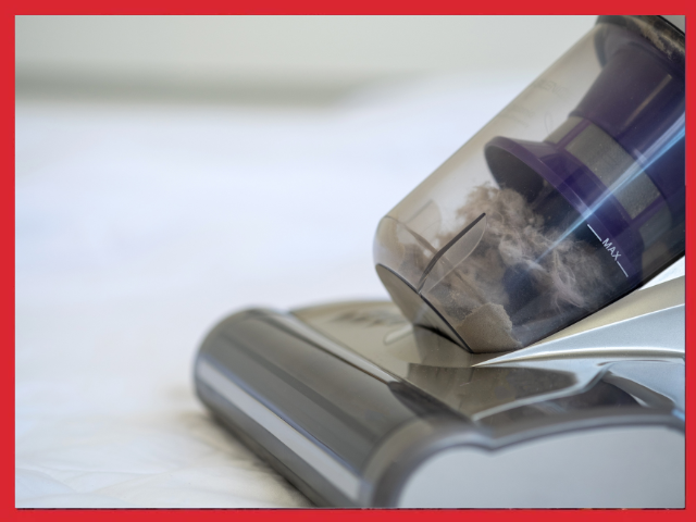 odkurzanie na roztocza
